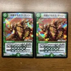 デュエルマスターズ 大神秘ハンニャ 4/55 2枚セット - メルカリ