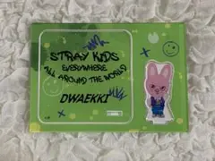 Stray Kids　スキズ　DWAEKKI　チャンビン　Changbin