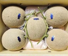 o*m様 高知産　約９，６ｋｇ　５玉　温室マスクメロン　家庭用　北海道沖縄発送不のサムネイル