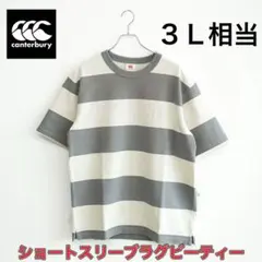 canterbury カンタベリーホワイト ショートスリーブラグビーティーのサムネイル