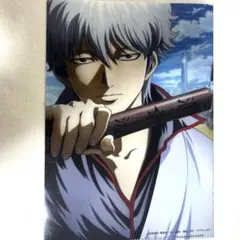 銀魂 坂田銀時 クリアファイル