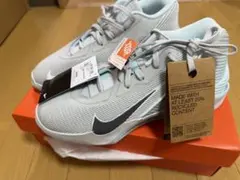NIKE バスケットボールシューズ ライトブルー