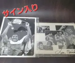 RIZINフェザー級チャンピオン シェイドゥラエフ 直筆サイン A4 王者