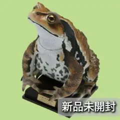 Item thumbnail for item 93fbaa77-87e6-49f3-90da-d75809ee1690