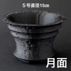 カタチ製作所 クレーター 植木鉢 鉢 2025年最新】クレーター鉢の人気アイテム - メルカリ