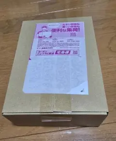 ポケモンカードゲームMEGA ハイクラスパック ドリームex BOXシュリンク付