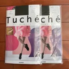【新品 GUNZE Tucheタイツ2足セット】