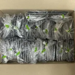 定価44,550円 90個セット 呪術廻戦 バースデー缶バッジ 2019