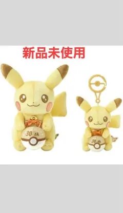 ピカチュウ ぬいぐるみ 発掘ピカチュウ ポケモン化石博物館 三重 2個