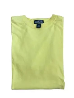 lands end tシャツ 00s 90s ヴィンテージ