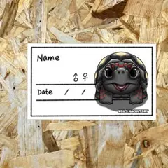 Item thumbnail for item 10a9d5b0-6a69-48e6-b846-75236c74303c