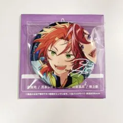 あんスタ　月永レオ　缶バッジ　10点 あんスタ 缶バッジ 特典 10周年CANBA!! group E 月永 レオ - メルカリ