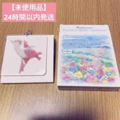 【ポケモン】アクリルキーホルダー Invisible to Me ラティアス
