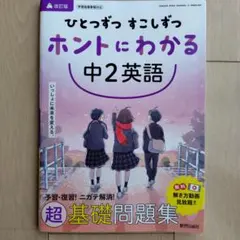 Rico様 リクエスト 2点 まとめ商品