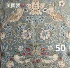50 S/V イチゴドロボウ 綿 英国製 延長可