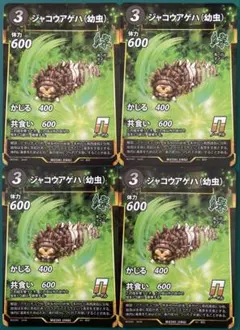 ウマノスズクサ 枝葉1000枚　ジャコウアゲハ幼虫餌　即日発送 ウマノスズクサ 枝葉1000枚 ジャコウアゲハ幼虫餌 即日発送