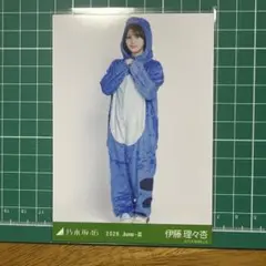 乃木坂46 福井県ver. コーデ 恐竜 伊藤理々杏　ヒキ