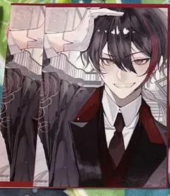 べる様 専用 めろぱかブロマイド