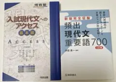 入試現代文へのアクセス 基本編 頻出現代文重要語700