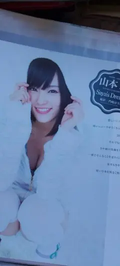 日向坂46 齊藤京子 加藤史帆 クリアファイル - メルカリ