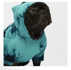 Item thumbnail for item b5cc1319-187d-4737-9ec1-e941ac551339