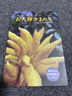 Item thumbnail for item 1a3b3427-1b30-43cf-9943-89fc981e053c