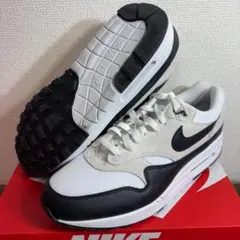 30cm ナイキ エアマックス 1 ESS FZ5808-101