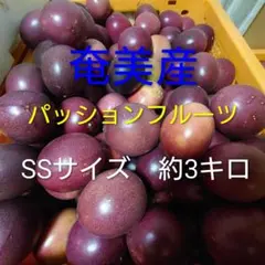 週末セール奄美産 パッションフルーツ SSサイズ 約3キロ④のサムネイル