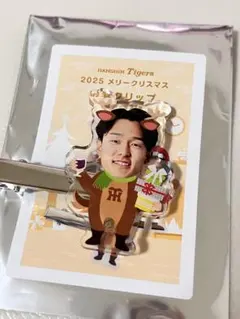 阪神タイガース　シークレット　及川雅貴