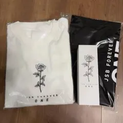 2026年最新】三代目アプグレグッズの人気アイテム - メルカリ