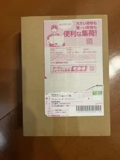 シュリンク付き ポケモンカードゲーム MEGA ドリームex 1BOX