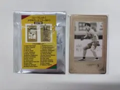 ジェフ千葉 JEF シークレットメタルカード 27岩井琢朗