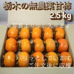 無農薬甘柿 2.5kg