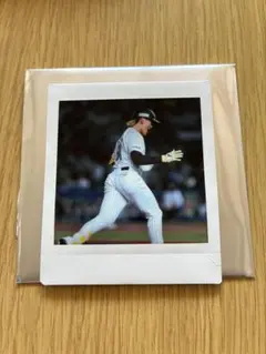 千葉ロッテマリーンズ　スクエアチェキ　2025 山本大斗