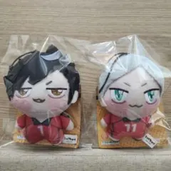 ハイキュー!! ちょぴぬいぷち 黒尾鉄朗 灰羽リエーフ