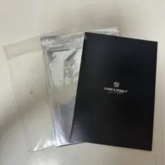 亀と山P スペシャルリーフレット