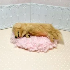 ふわふわベッドで眠る ♡ ダックスフンド（ゴールド）のサムネイル