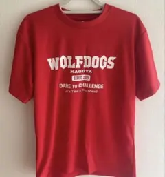 DESCENTE WOLFDOGS NAGOYA Tシャツ レッド - メルカリ