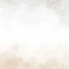 なおきいぶみ様　専用