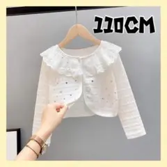 Item thumbnail for item 224eadc6-588a-4639-b98e-4a9a694166a0