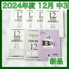 育伸社 学力テスト 2024年 12月 中3 5科 解答解説 国 数 社 理 英