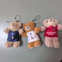 安藤誓哉　ユニフォームベア