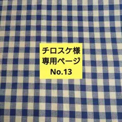 チロスケ様専用ページです。No.13