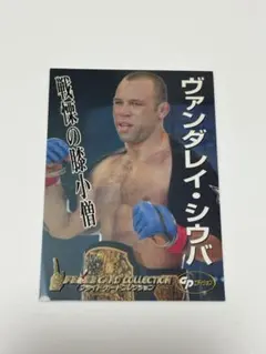 2026年最新】ヴァンダレイ・シウバの人気アイテム - メルカリ