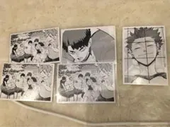 ハイキュー クロニクル カード フォト 原作 10th 牛島若利 天童覚