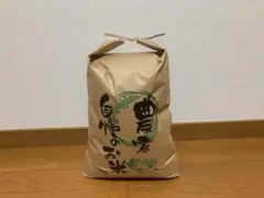 愛媛県産 令和7年産コシヒカリ玄米 20kg - メルカリ