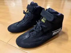 Item thumbnail for item a02c323a-bfae-4138-83a7-f873d8ffd6f3