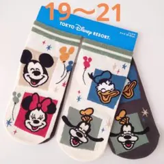 ディズニーリゾート　靴下　ソックス　ディズニー　Disney