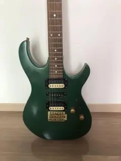 FERNANDES TEJ セミハードケース付き｜調整済・動作品】 - メルカリ