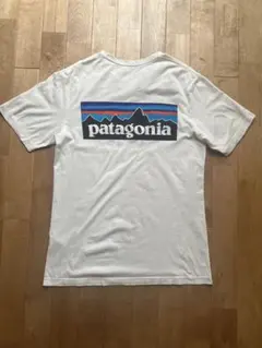 patagonia パタゴニア P-6ロゴ オーガニックコットンTシャツXS 白